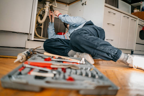 Best Emergency Plumber  in Palm Harbor, FL