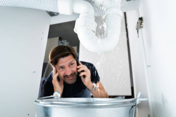  Palm Harbor, FL Plumbing Pros