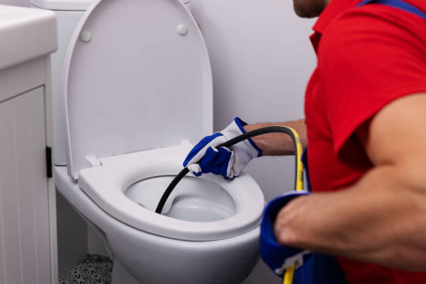 Professional Plumbing in Palm Harbor, FL