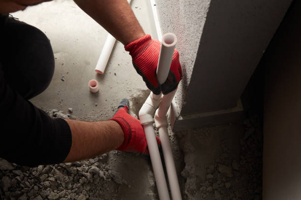 Best Residential Plumbing Services  in Palm Harbor, FL