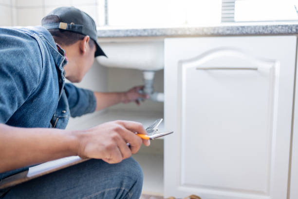 Best Sewer Line Replacement  in Palm Harbor, FL