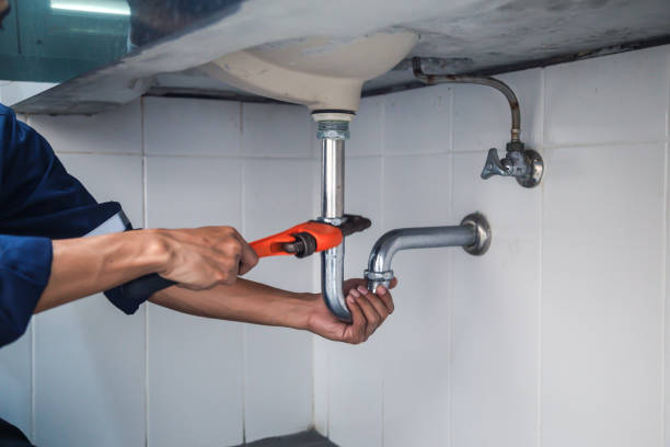 Best Same-Day Plumbing Service  in Palm Harbor, FL
