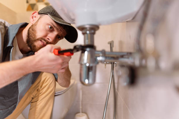 Best Sewer Cleaning Services  in Palm Harbor, FL