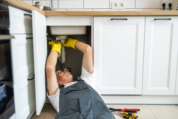 Best Drain Cleaning Services  in Palm Harbor, FL