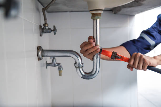 Best Plumbing Services Near Me  in Palm Harbor, FL