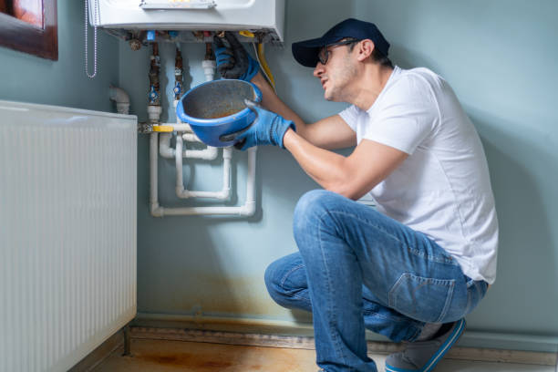 Best Affordable Plumbing Services  in Palm Harbor, FL