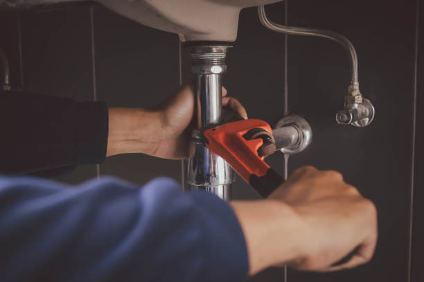 Best Clogged Drain Plumber  in Palm Harbor, FL