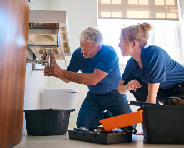 Best Drain Cleaning Services  in Palm Harbor, FL