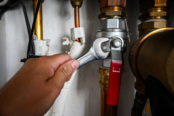 Best Local Plumber Services  in Palm Harbor, FL